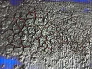 Close up crackle of red bister